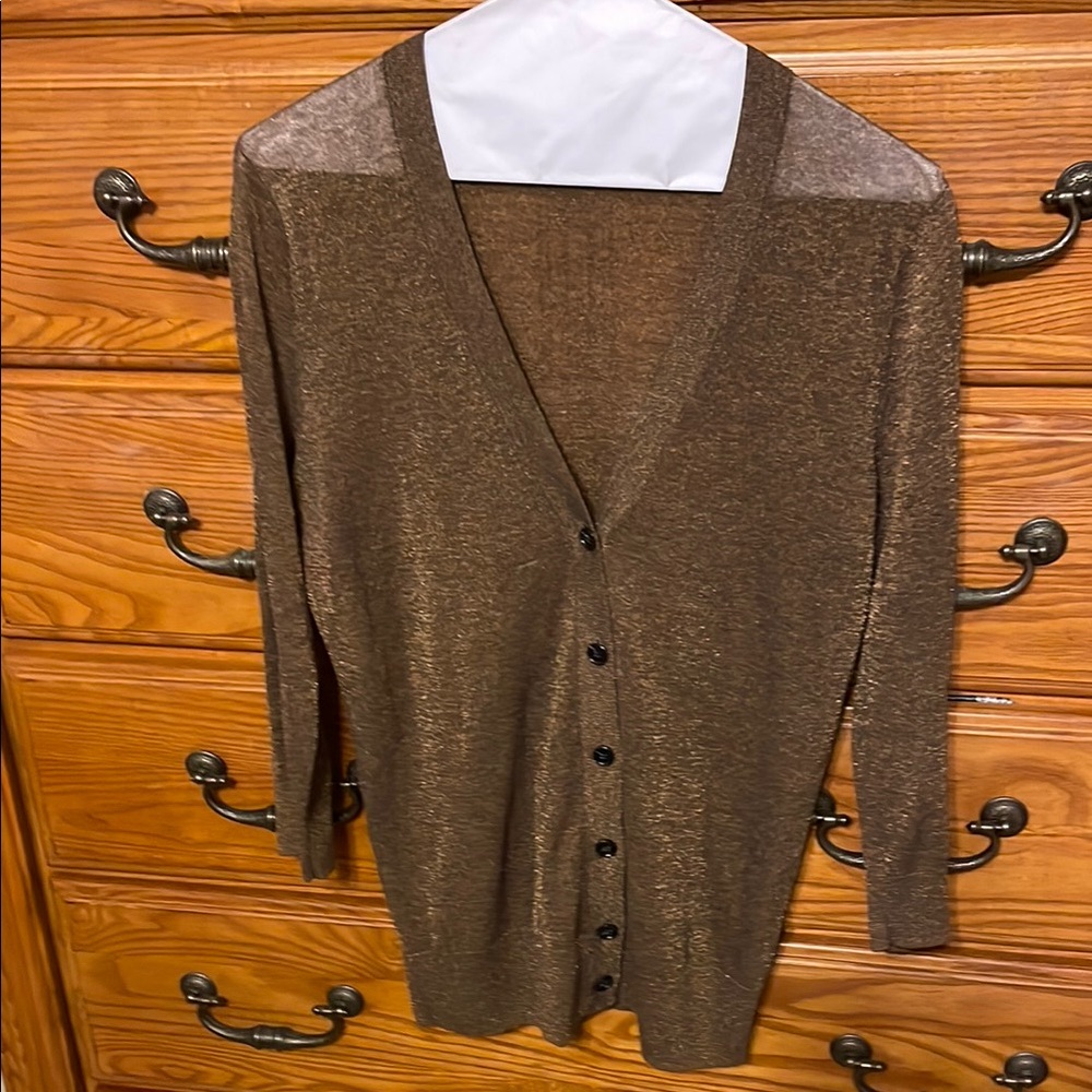 Sheer Brown Button-Up Cardigan